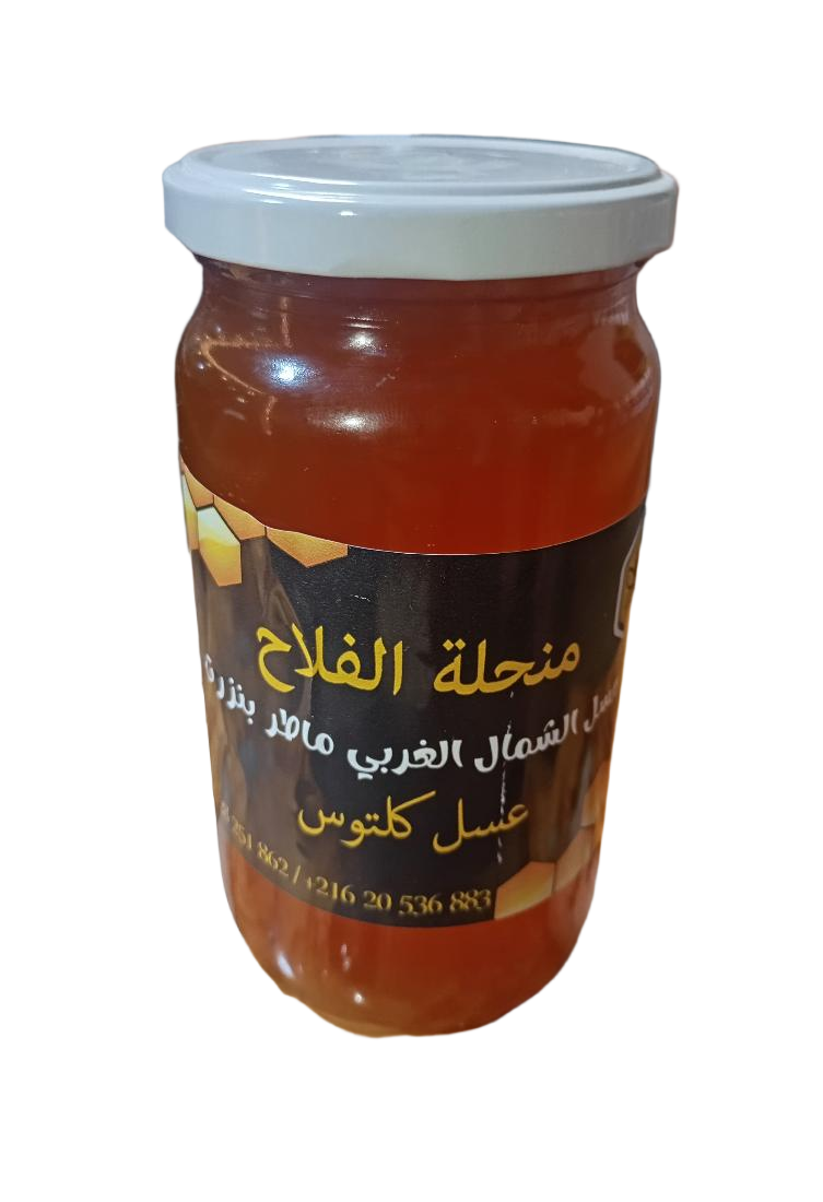 Eucalyptus Honey 1KG