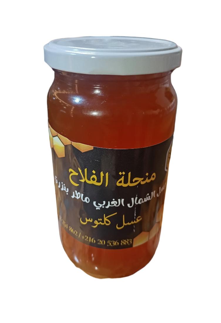 Miel d'Eucalyptus 1KG