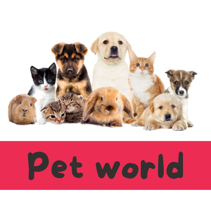 Pet World