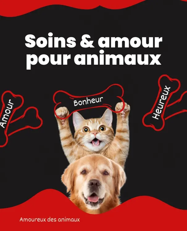 Animalerie