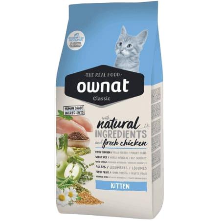 Ownat Kitten